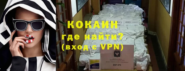 стаф Абинск