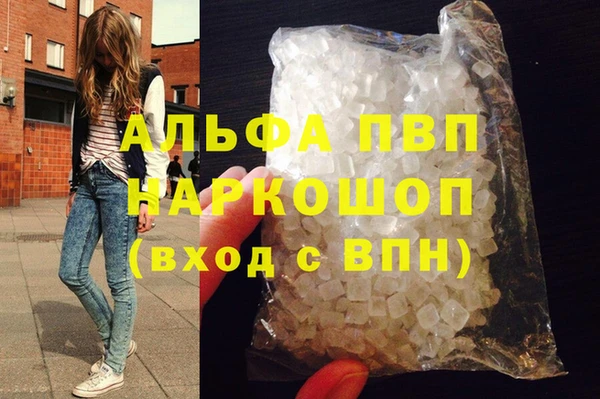 стаф Абинск
