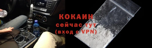 стаф Абинск