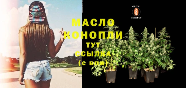 стаф Абинск