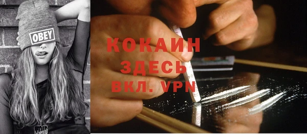 стаф Абинск