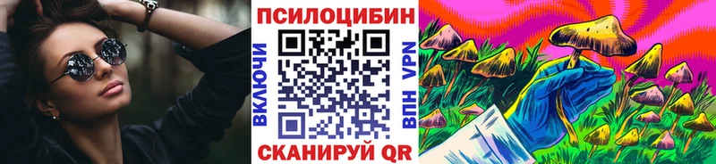 купить наркоту  маркетплейс клад  Псилоцибиновые грибы Cubensis  Шимановск 